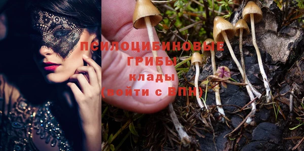 эйфоретик Беломорск