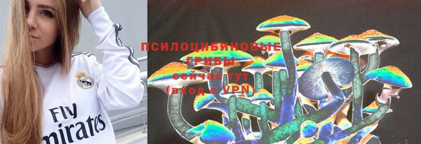 дмт Белоозёрский